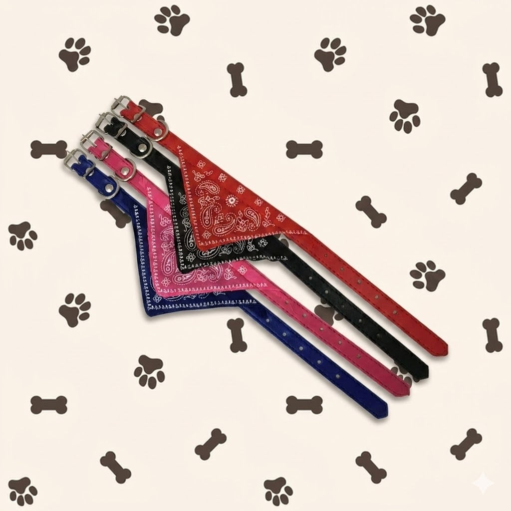 Collar con Pañoleta Bandana para Perro