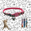 Collar para Gato con Cascabel y Hebilla de Seguridad