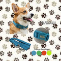 Set Collar y Correa para Perro Animal Planet
