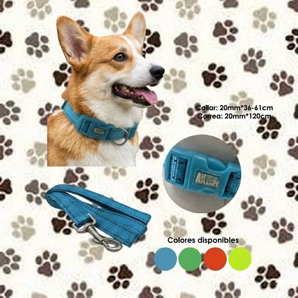 Set Collar y Correa para Perro Animal Planet